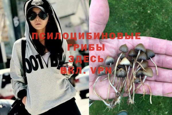 a pvp Алзамай