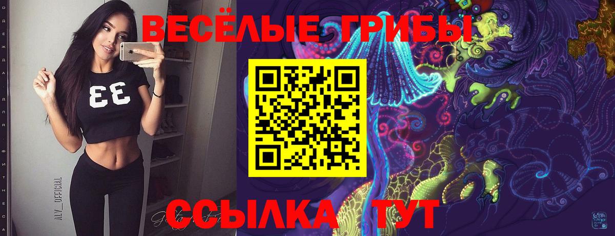 Галлюциногенные грибы ЛСД  Вход с VPN  Волоколамск  Галлюциногенные грибы Psilocybe 