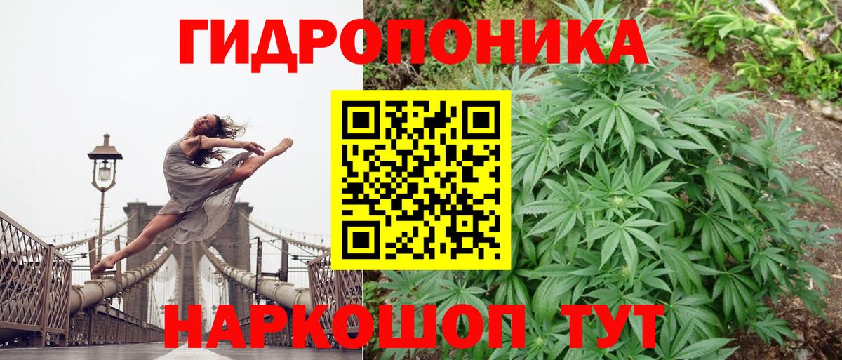 Волоколамск  Бошки Шишки White Widow  Вход с VPN  Бошки марихуана сатива  Конопля индика 